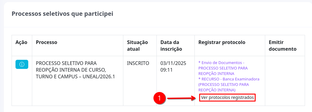 portal-candidato-protocolo-registrados.png